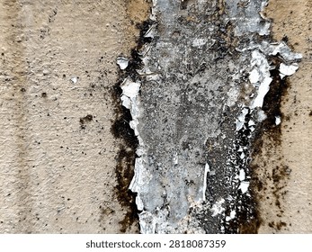 water damage on a wall, consistent with conditions that promote mold growth.There is substantial peeling paint and crumbling texture on the surface.