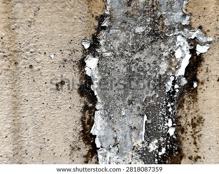 water damage on a wall, consistent with conditions that promote mold growth.There is substantial peeling paint and crumbling texture on the surface.
