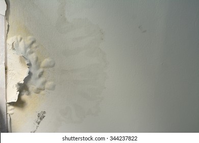 Water Damaged Ceiling In An Old Abandoned House.