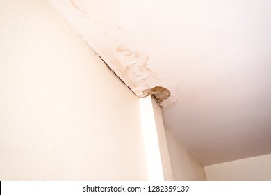 Water Damaged Ceiling Images Stock Photos Vectors Shutterstock