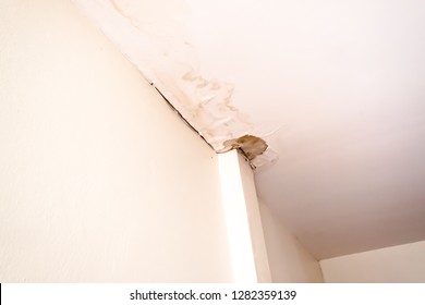 Imagenes Fotos De Stock Y Vectores Sobre Mold On Ceiling