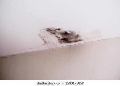 Office Ceiling Damage Temaju Kepek Stockfotok Es