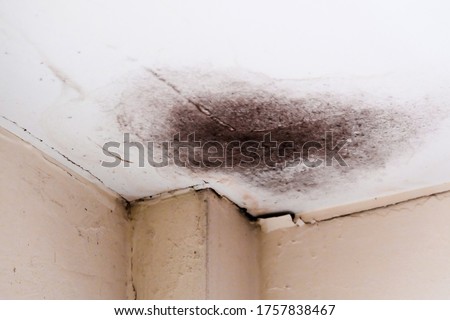 Water damaged ceiling roof, brown stain, office building