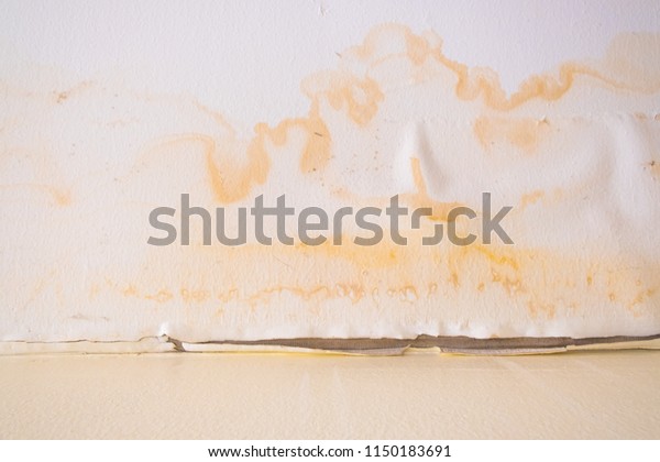 Water Damaged Ceiling Roof Brown Stain Stock Image