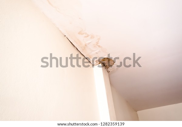Water Damaged Ceiling Roof Brown Stain Stock Photo Edit Now