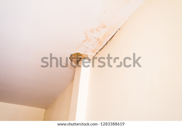 Water Damaged Ceiling Roof Brown Stain Stock Photo Edit Now