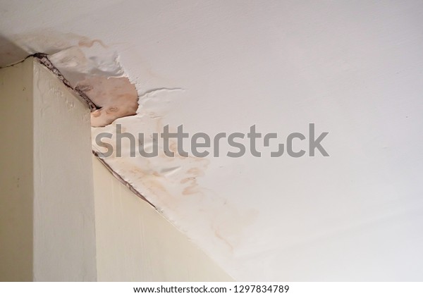 Water Damaged Ceiling Roof Brown Stain Stock Photo Edit Now