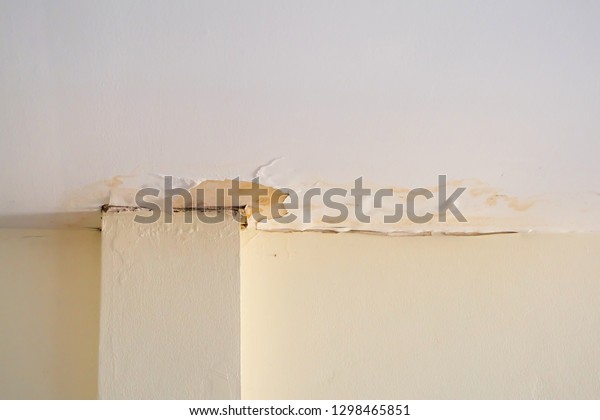 Water Damaged Ceiling Roof Brown Stain Stock Photo Edit Now