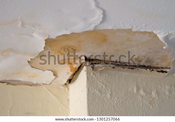 Water Damaged Ceiling Roof Brown Stain Stock Photo Edit Now