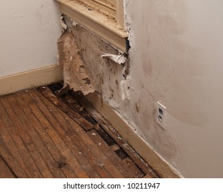 water damaged interior wall in an old house