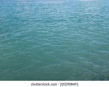 Water In The Detroit River