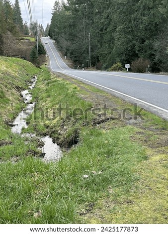 Water in drainage ditch next to a road