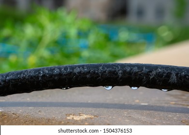 Water Dripping From Black Rigid Soaker Hose With Garden Background