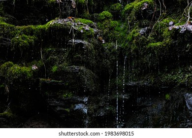 Water Dripping Down A Mossy Rock Wall