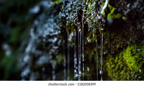 Water Dripping Down Off Of A Mossy Rock Wall Next To A Waterfall. 