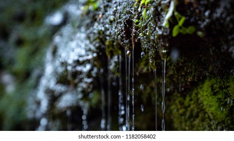 Water Dripping Down Off Of A Mossy Rock Wall Next To A Waterfall. 