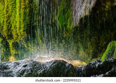 Water dripping from a rock surrounded by green moss walls. Beautiful tropical background at the waterfall. Moss texture with blurred background. Weeping rocks. Beauty and energy. - Powered by Shutterstock