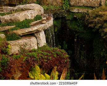 Water Dripping From A Rock Surrounded With Plants As A Garden Feature.