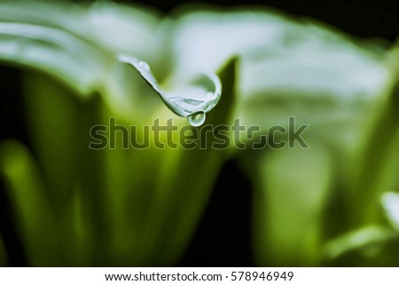 WATER DROP