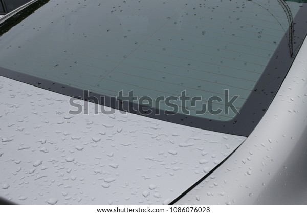 Water drop at the back of the\
car
