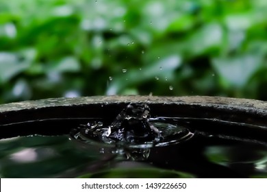 Water Drop Falling On Pot Natural Stock Photo 1439226650 | Shutterstock