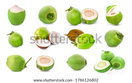 water drop green coconut isolated on white background
