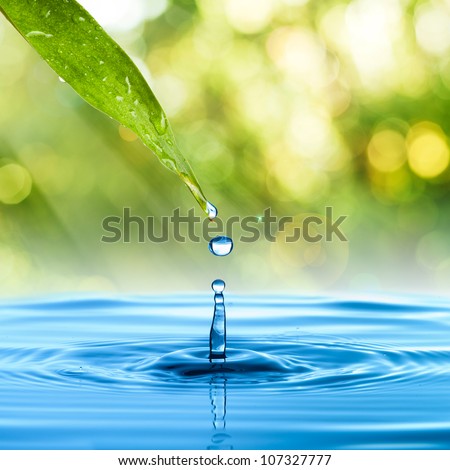 Water drop from green leaf on summer background