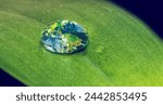 Water, drop and leaf with earth for sustainability and awareness of climate change, nature and environment. Globe, plant and droplet on blade of grass for eco friendly, future and clean energy