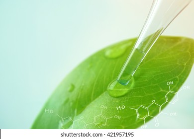 Wassertropfen aus Blättern und Laboratorium für das Konzept der natürlichen Chemie
