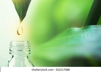water drop from leaf and laboratory for natural chemistry concept