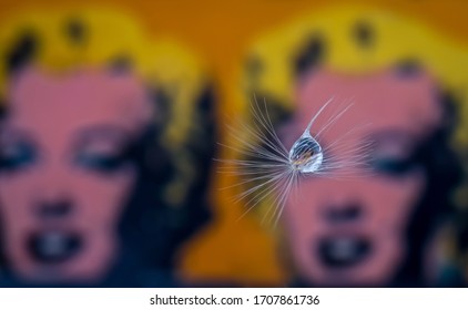 Water Drop On Dandelion Seed With Warhol Marilyn On Background