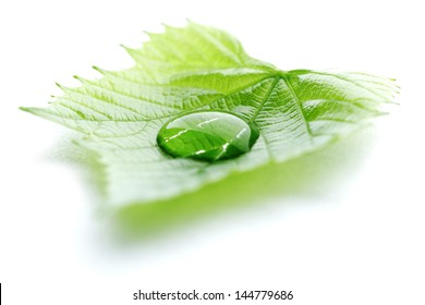 Water Drop On Leaf Isolated On White Background Macro