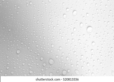 The Water Drop On White Background