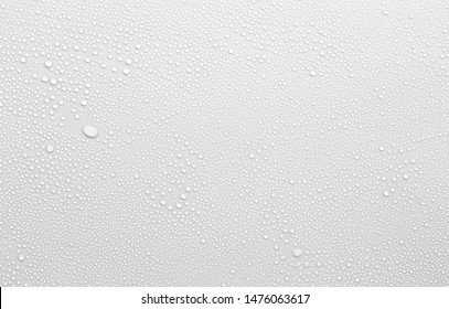 Water Drop On White Surface As Background