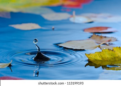 Water Droplet Making Ripples In Pond With Autumn Leaves
