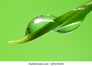 Water Droplet On The Leaf. Clear And Pure Nature Background