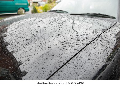 Water droplets beading on a black car panel with droplets grouping up into beads on the body. Hydrophobic ceramic coating wax to drop and liquid and slide off the automotive machine 