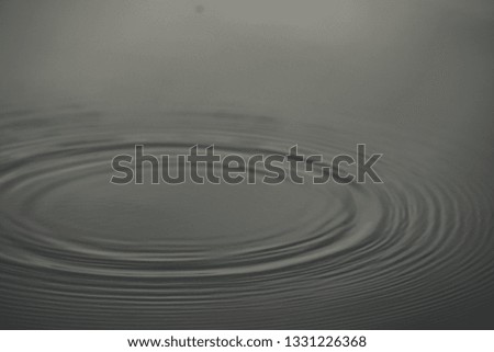 Similar – fog lake Calm Nature Water