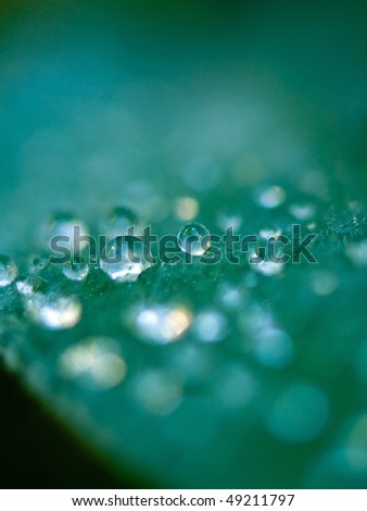 Similar – Image, Stock Photo fluid Water Drops of water