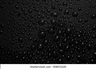 Water Droplets On Black Background