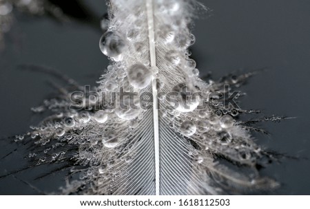 eye drops Snow Snowflake