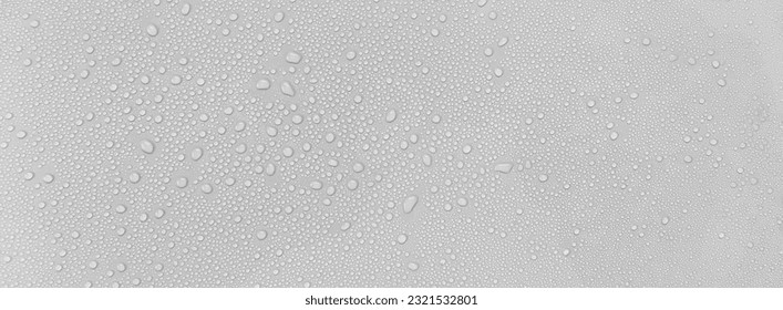 Water droplets on a gray background. - Shutterstock ID 2321532801