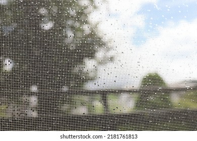 Water droplets on the screen door after the rain and the scenery through the screen door. - Powered by Shutterstock