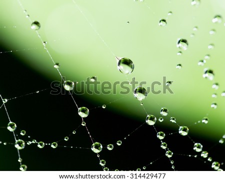 Image, Stock Photo Dew drops on leaf Design