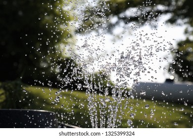 Water Droplets Spraying and Splashing From Fountain in Pond  - Powered by Shutterstock