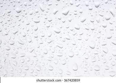 Water Drops./ Water Drops. 