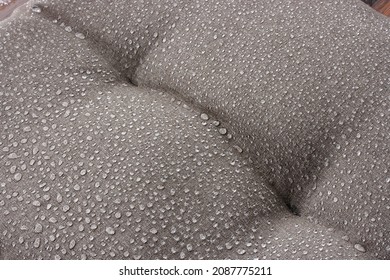 Water drops after rain on the waterproof fabric of garden furniture cushions