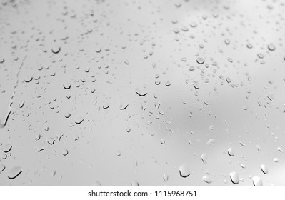 Water Drops Black White Stock Photo 1115968751 | Shutterstock