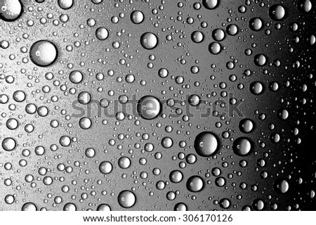 Water drops close up. Abstract Black and white background of waterdrops, droplets closeup