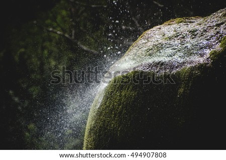 water drops fall moss